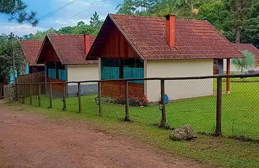 Palmeira Azul-1